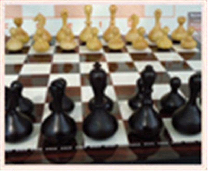 WOBBLE CHESS (SALLANAN SATRANÇ TAŞI)